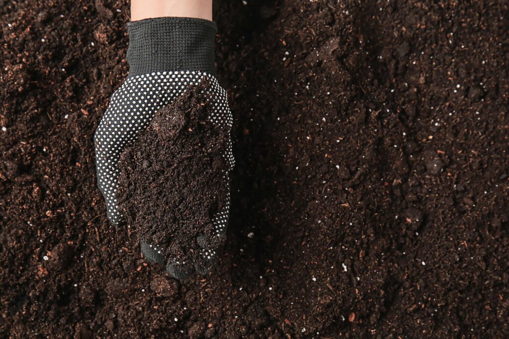 garden soil vs topsoil